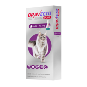BRAVECTO PLUS (6.25 - 12.5 kg) x 1 Pipeta