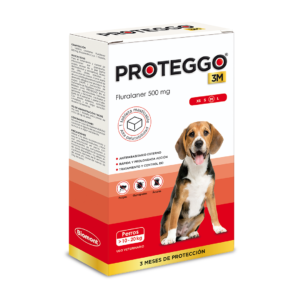 PROTEGGO 3M Medium (10 - 20 kg) x 1 Tableta