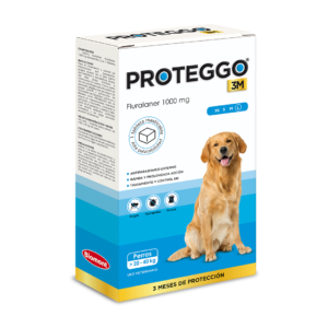 PROTEGGO 3M Large (20 - 40 kg) x 1 Tableta