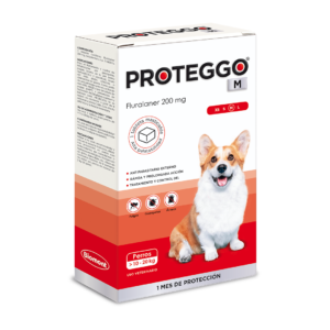 PROTEGGO M Medium (10 - 20 kg) x 1 Tableta