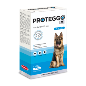 PROTEGGO M Large (20 - 40 kg) x 1 Tableta