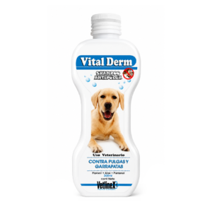 SHAMPOO VITALDERM FRASCO x 300 ml